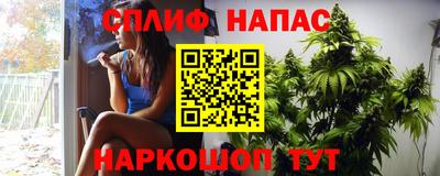 сатива Бугуруслан