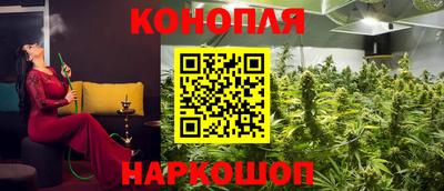 сатива Бугуруслан